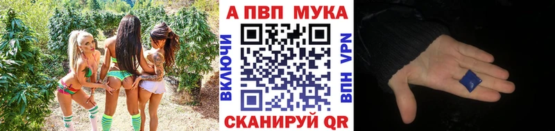 Alpha PVP СК КРИС  Медвежьегорск 