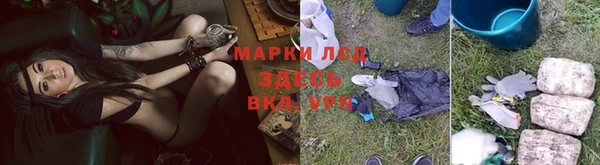 амф Майский