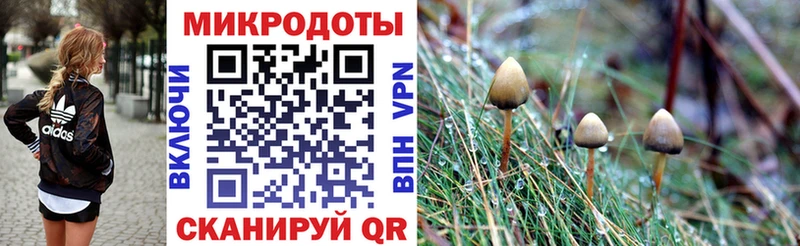 Галлюциногенные грибы Magic Shrooms  где купить   ссылка на мегу как зайти  Медвежьегорск 