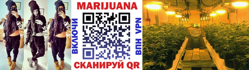 МАРИХУАНА план  магазин продажи наркотиков  Медвежьегорск 